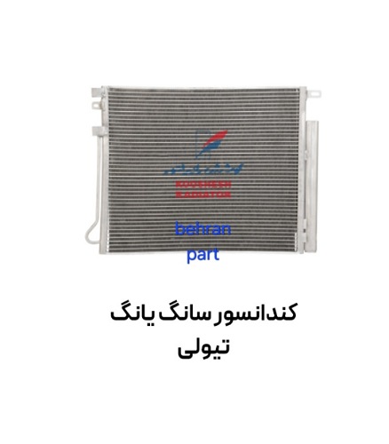 كندانسور سانگ یانگ تیولی کوشش