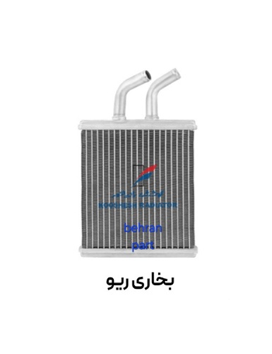 بخاری ریو کوشش
