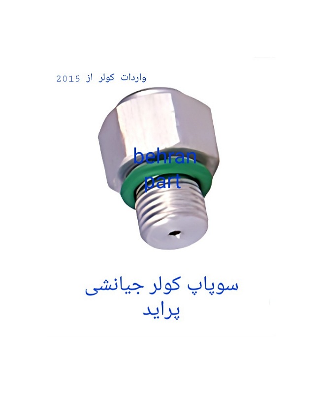 سوپاپ کمپرسور کولر جیانشی پراید