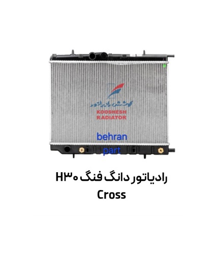 رادیاتور دانگ فنگ H30 Cross کوشش